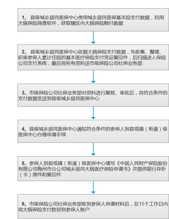 城乡居民医保大病保险.png